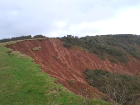 Landslip near Budleigh Salterton