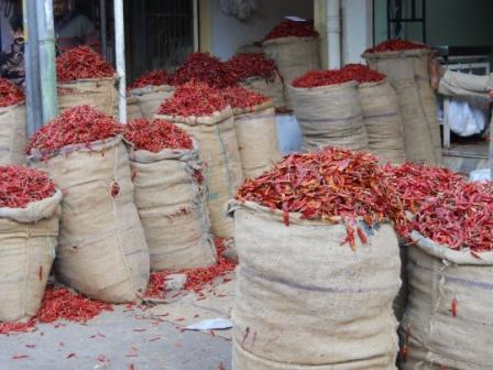 Bags of Chillies
