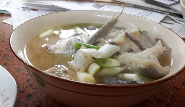 Fish Soup