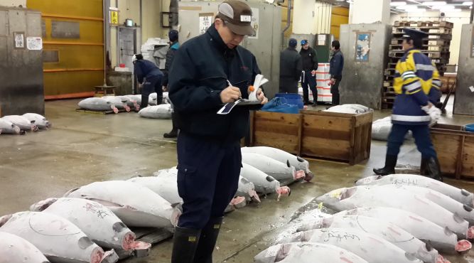 Tuna Market