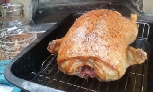 duck browning