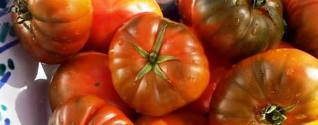 Woodfired Tomatoes