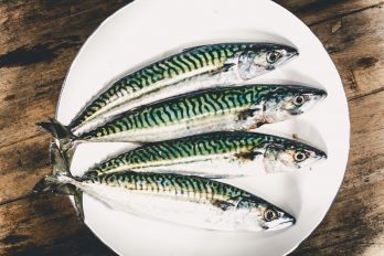 Woodfired mackerel escabeche