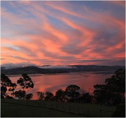 Woodfired Talking with Elizabeth & David in Tasmania