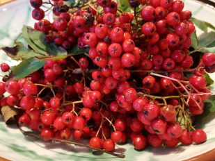 Making Membrillo - Devon Style