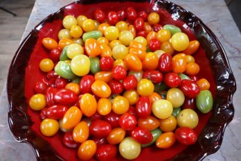 An Open Tomato Tart from the Woodfired Oven