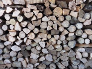 Some of our favourite woods to use in the woodfired oven